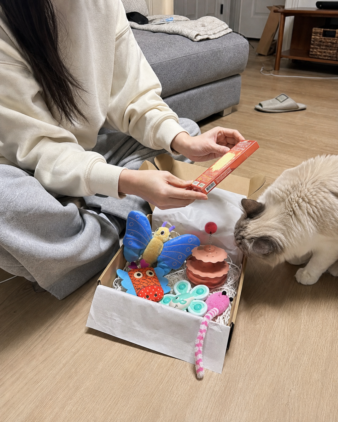 Cat inspecting a newly opened box filled with colorful toys