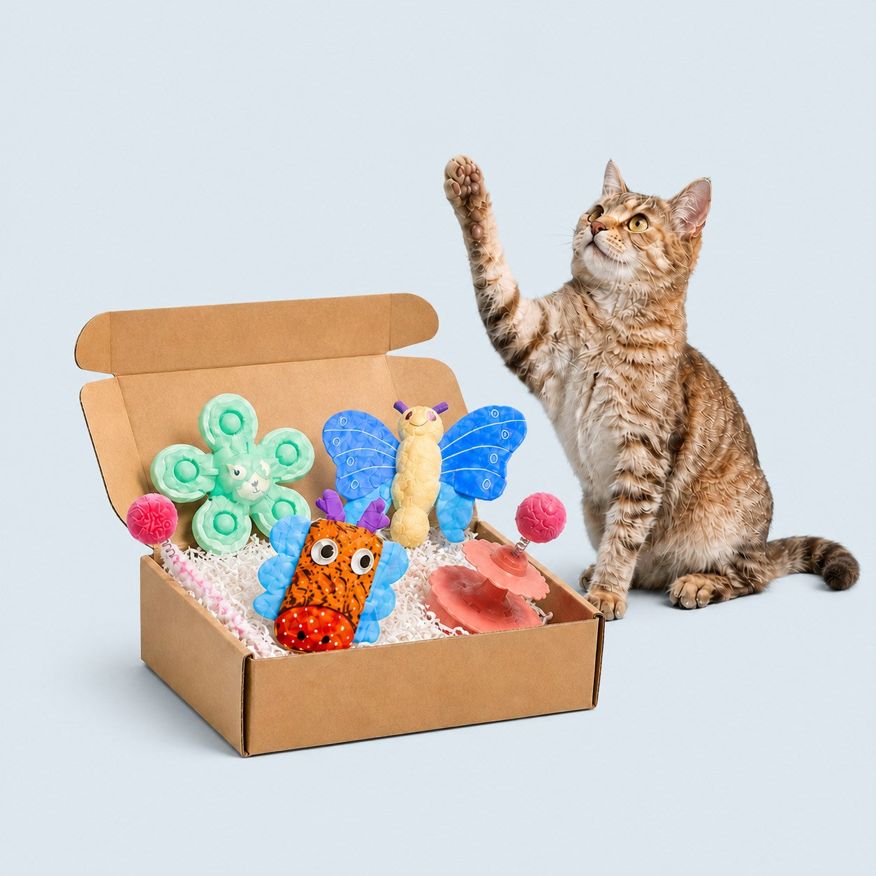 A MEWMORA one-time discovery box with 5–7 surprise cat toys and a tabby cat